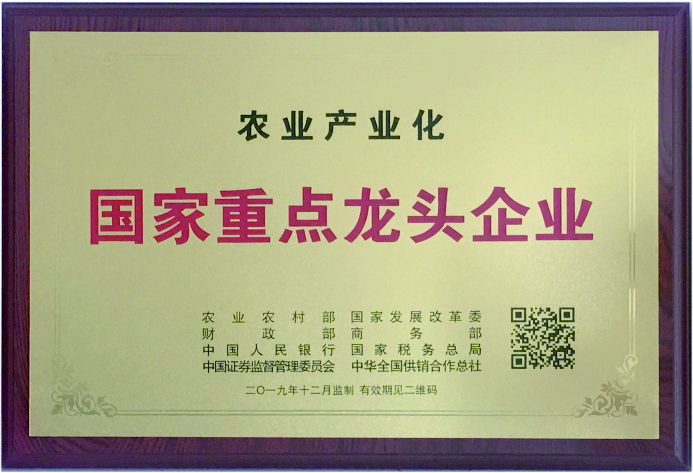 國家重點(diǎn)龍頭企業(yè)